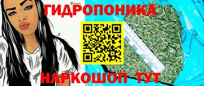 индика Кандалакша