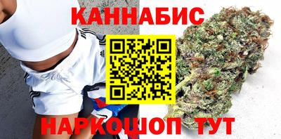 индика Кандалакша
