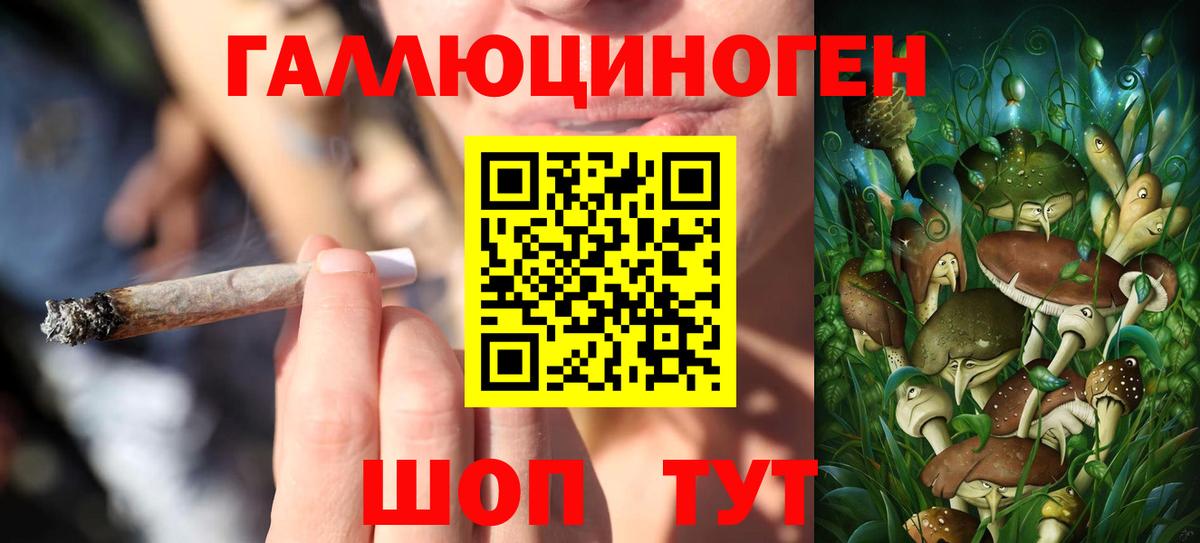 Саранск  Псилоцибиновые грибы Psilocybe  Вход с VPN 